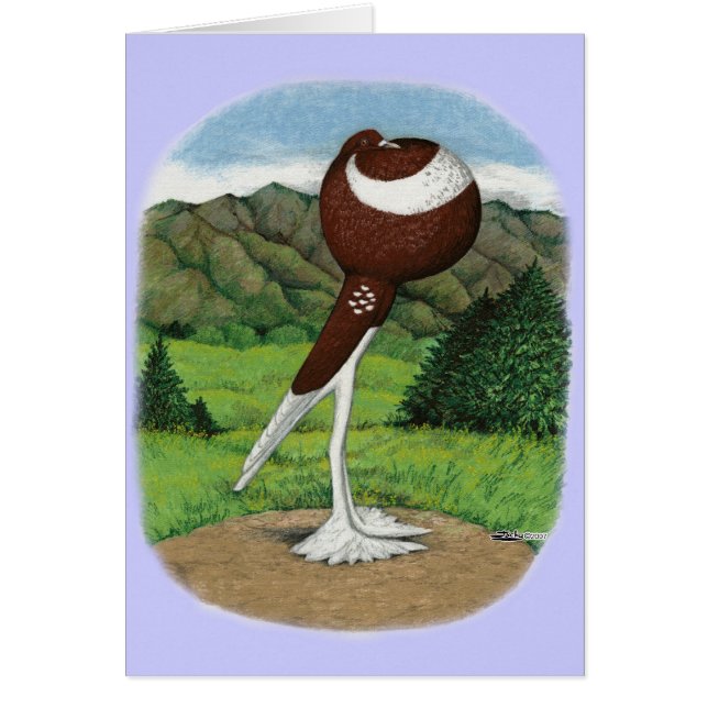 English Pouter Pigeon With Mountains (Front)