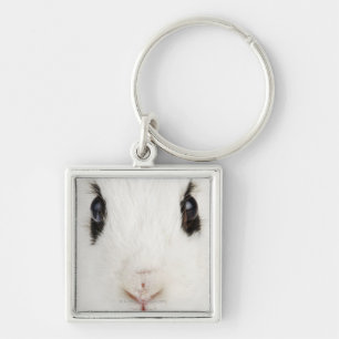 English rabbit (Oryctolagus cuniculus) Key Ring