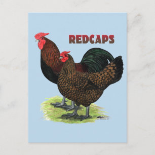 English Redcaps Postcard
