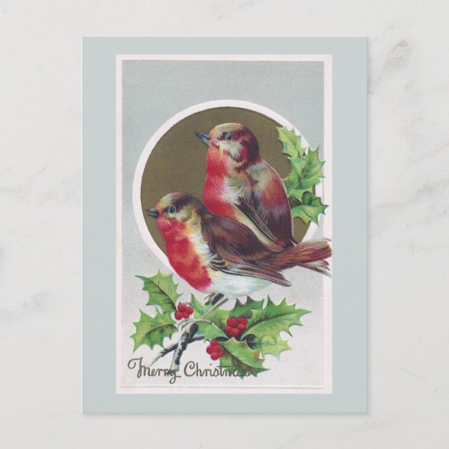 English Robins and Holly Vintage Christmas Holiday Postcard (Front)