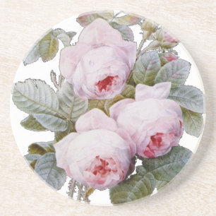English Rose Garden Bouquet Pink Floral Coaster