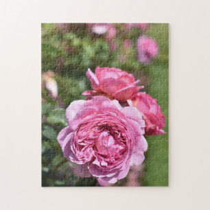 English Rose Garden Kew Gardens London UK Jigsaw Puzzle