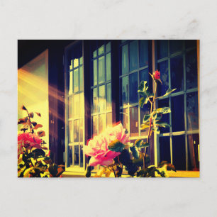 English Rose Invitation Postcard