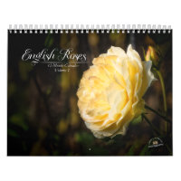 English Roses 12-Month Calendar
