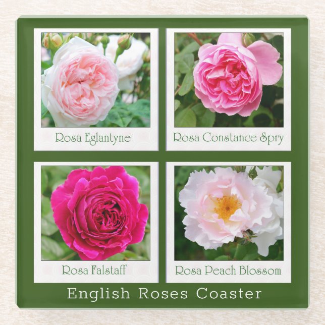 English Roses Coaster [Glass Plastic Coaster] (Front)