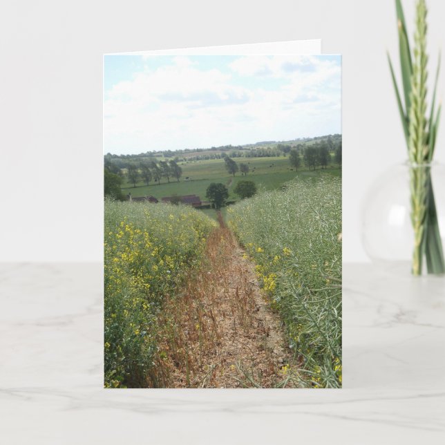 English rural countryside scene photo art card (Front)