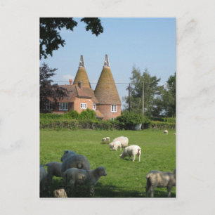 English Scenes, Kentish Oast Houses Postcard