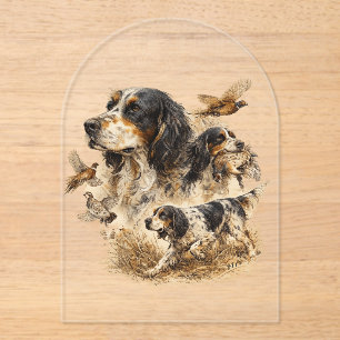 English Setter  Acrylic Invitations