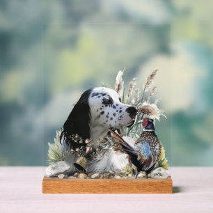 English Setter  Acrylic Sign