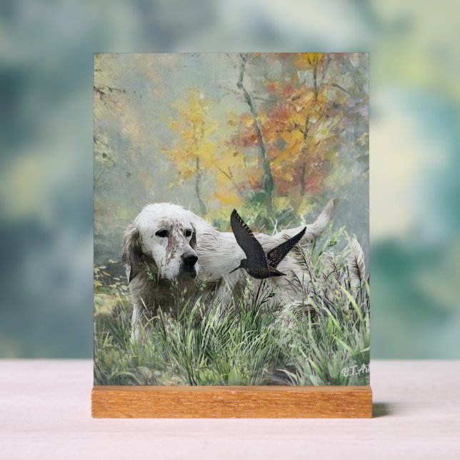 English Setter  Acrylic Sign (Neutral)