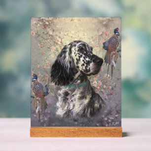 English Setter  Acrylic Sign