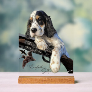 English Setter  Acrylic Sign