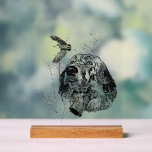 English Setter  Acrylic Sign