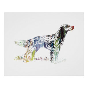 English setter art poster