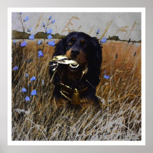 English Setter , bird hunting  Poster