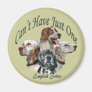 english setter Can't Have Just One Magnet