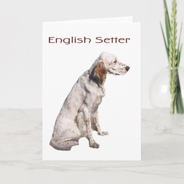 English Setter Card (Front)