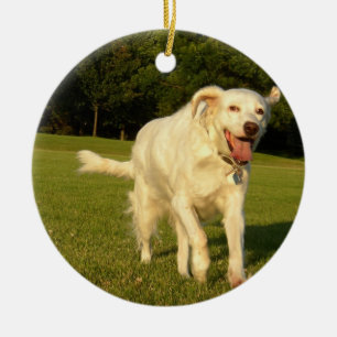 English Setter Ceramic Tree Decoration