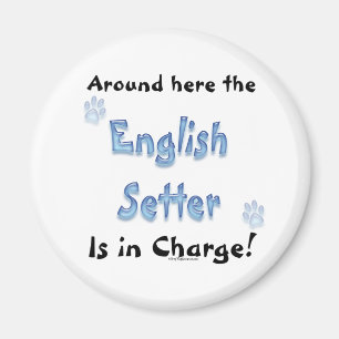 English Setter Charge - Magnet