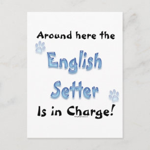 English Setter Charge Postcard