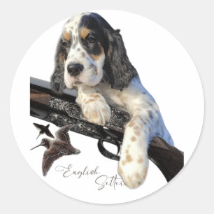 English Setter, cute puppy    Classic Round Sticker