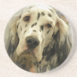 English Setter Dog Coasters