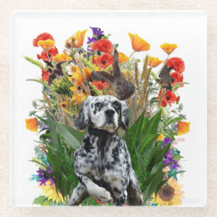 English Setter Glass Coaster