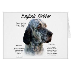 English Setter History Design