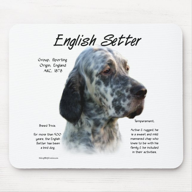English Setter History Design Mouse Mat (Front)