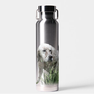 English Setter, Hunting Season Water Bottle