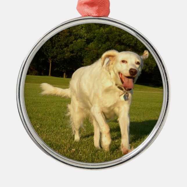 English Setter Metal Tree Decoration (Front)