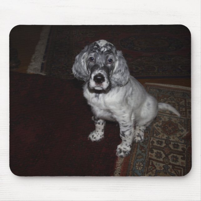 English Setter Mouse Mat (Front)