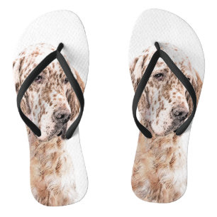 English Setter Orange Belton Painting Dog Art Flip Flops