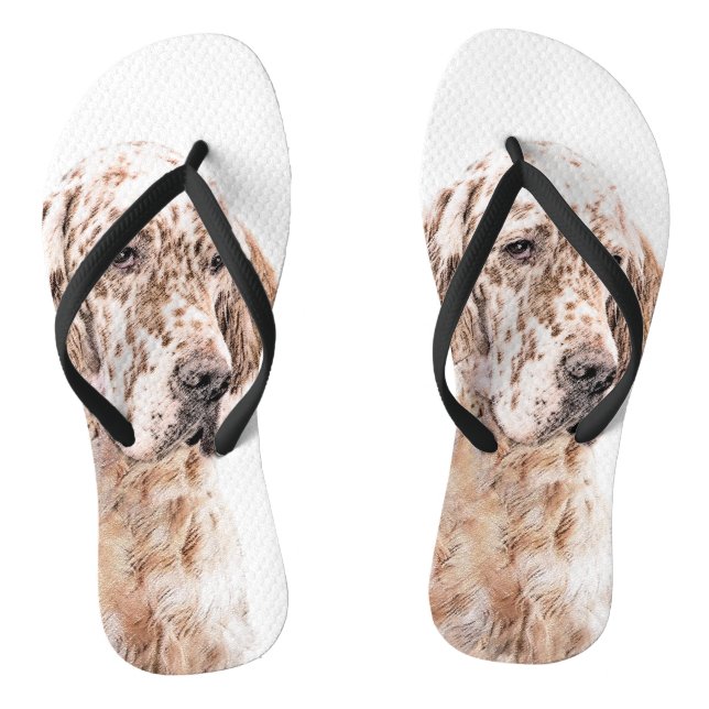 English Setter Orange Belton Painting Dog Art Flip Flops (Footbed)