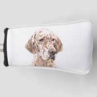 English Setter Orange Belton Painting Dog Art