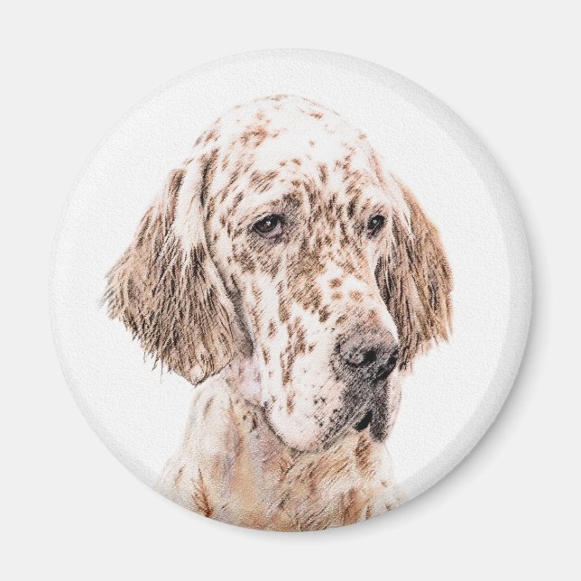 English Setter Orange Belton Painting Dog Art Magnet (Front)
