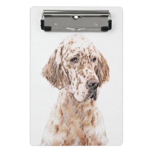 English Setter Orange Belton Painting Dog Art Mini Clipboard