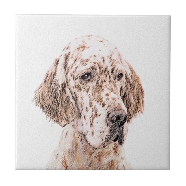 English Setter Orange Belton Painting Dog Art Tile (Front)