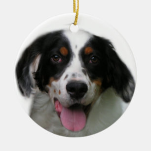 English Setter Ornament