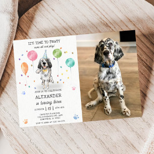 English Setter Pawty Dog Puppy Birthday Blue Photo Invitation