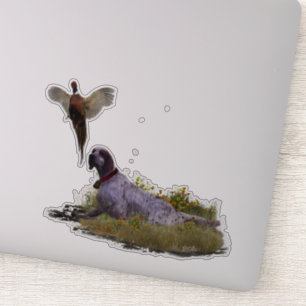 English Setter , Pheasant hunting 