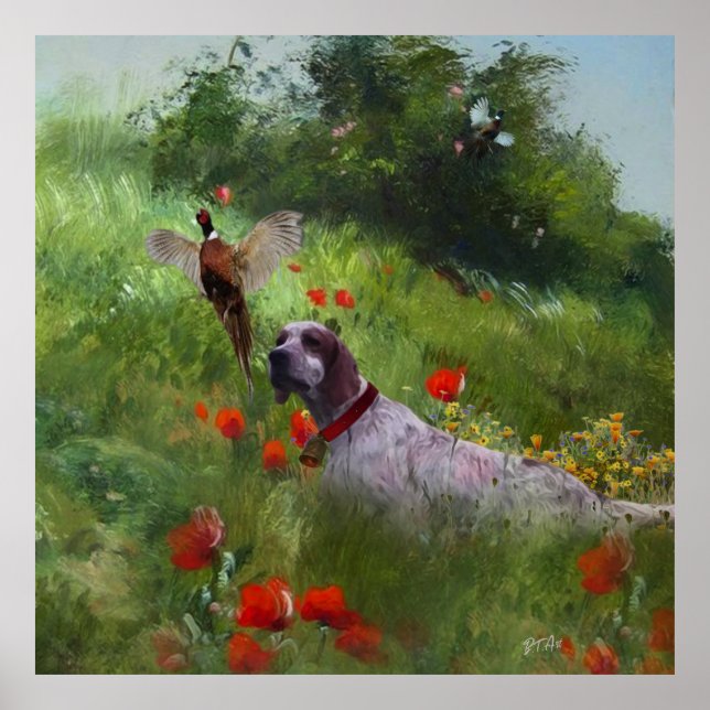 English Setter , Pheasant hunting  Poster (Front)