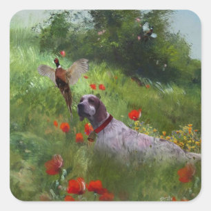 English Setter , Pheasant hunting  Square Sticker