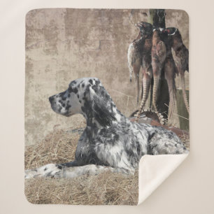 English Setter , Pheasant Hunting Tapestry Poster Sherpa Blanket