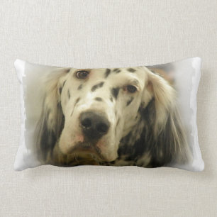 English Setter Pillow