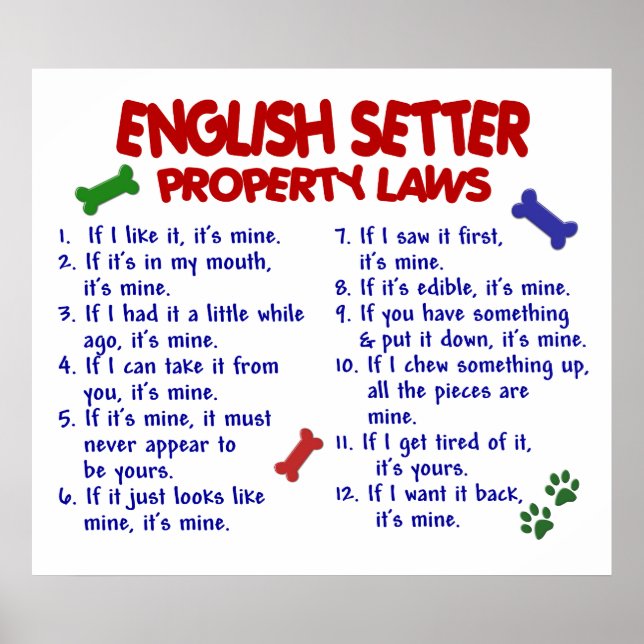 ENGLISH SETTER PL2 POSTER (Front)