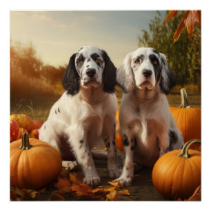 English Setter Puppy Autumn Delight Pumpkin  Poster