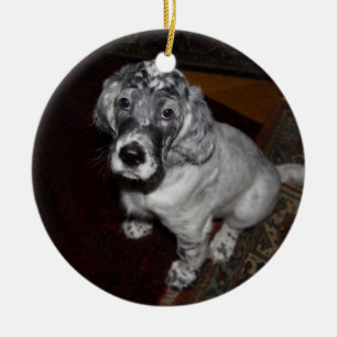 English Setter Puppy Ceramic Tree Decoration