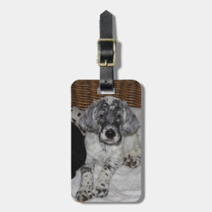 English Setter Puppy Luggage Tag