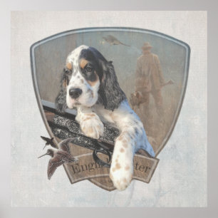 English Setter puppy with a classic shotgun   Poster